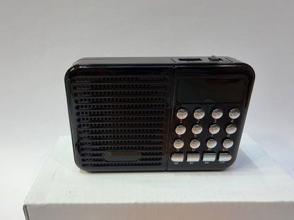 Jain music player SMALL 2100+