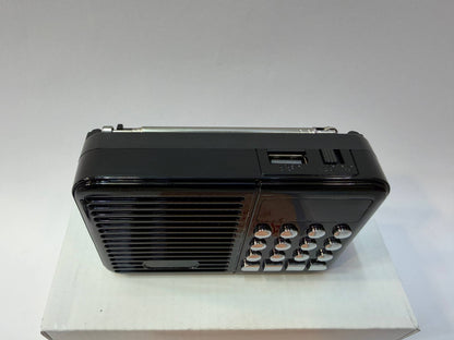 Jain music player SMALL 2100+