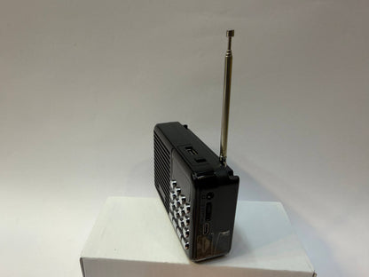 Jain music player SMALL 2100+