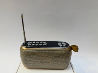 Jain music player BIG 2100+