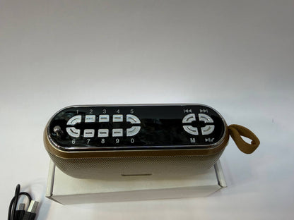 Jain music player BIG 3100+